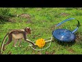 Best DIY Using Cutter And Hand Saw (Work 100%).
