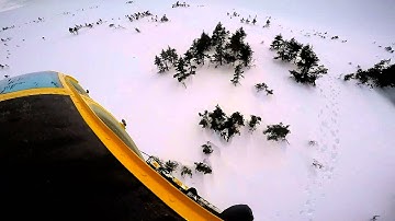 Caribou Capture for 2015 Klinse-Za Maternal Penning Project