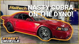 Twin Turbo Cobra Mustang Makes Noise On The Dyno!