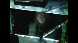 Mov02456