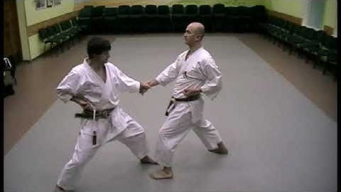 Chinte kata bunkai 4