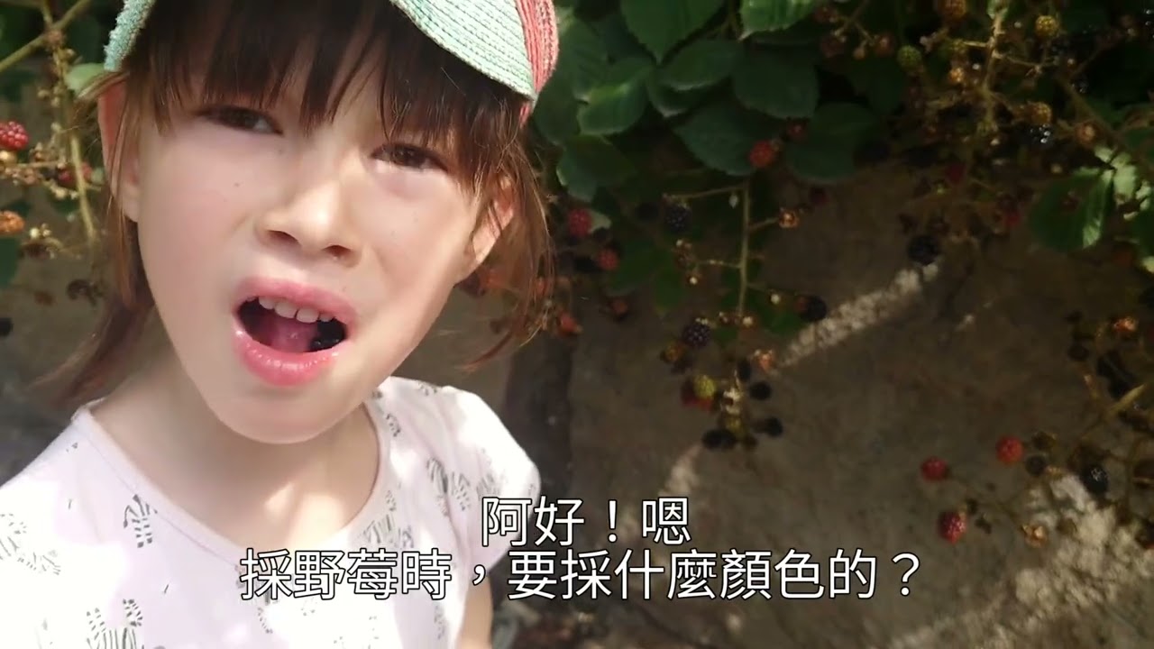 5Y9M7D(2025/7/18）阿好說台語。（植物）有刺會扎人，台語怎麼說呢？刺：（名詞）tshì。刺、札人：（動詞）du。............夏天的影片再不上字幕，2026年就來啦！😅