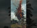 نخل كل عمري خير ورطب للجوعان اكسبلور لايك  اقتباس متابعه العراق تصميم فيديوهات عبارات