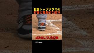 世界トップクラスの打者の驚異的な感覚