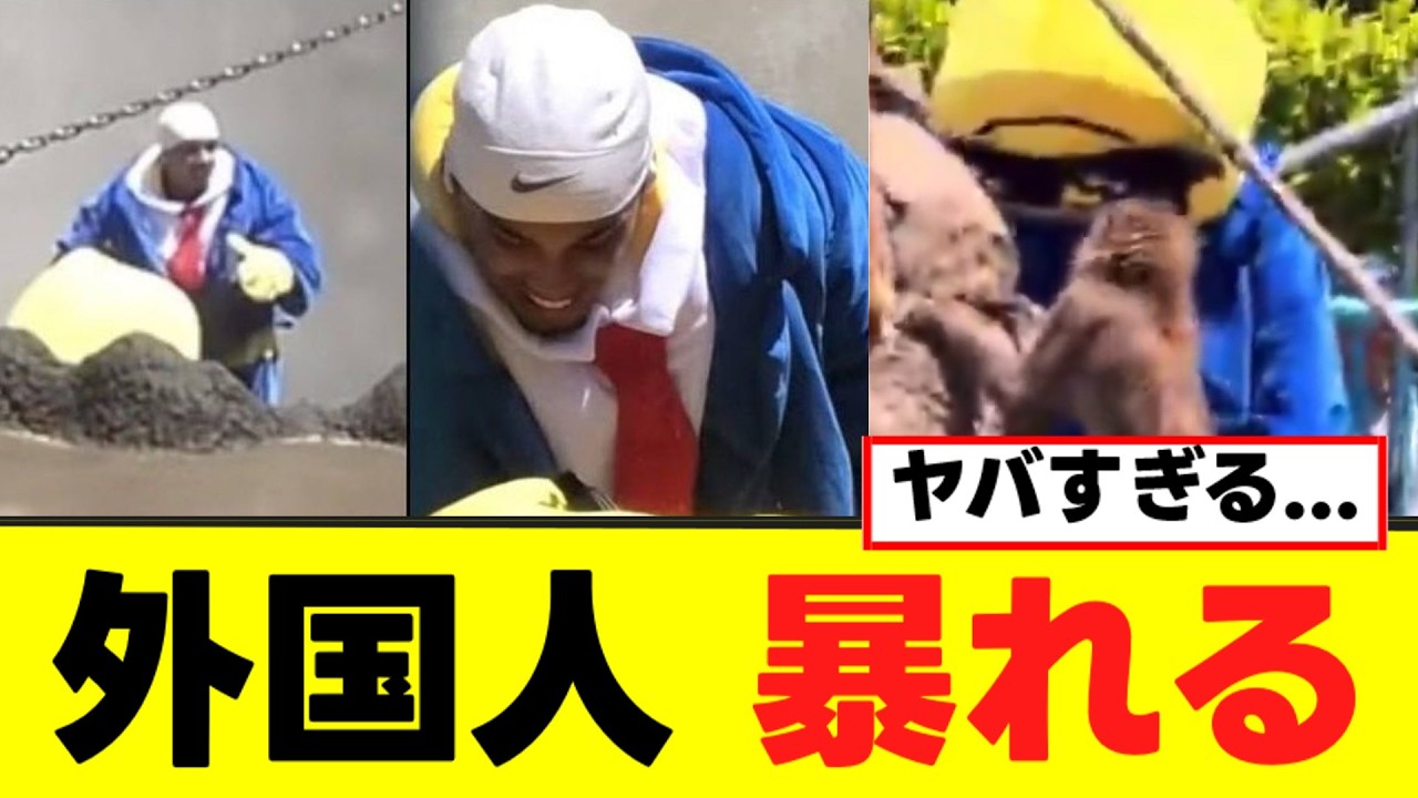 【衝撃】外国人がパンチ君のいるサル山へ侵入し暴れる動画が話題に