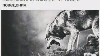 Kamazz - Хочешь войны  [HIT]
