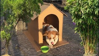 How to Make Amazing Puppy Dog House from Cardboard | Mr Ruby