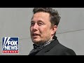 Elon Musk: Massive red wave coming in 2022