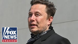 Elon Musk: Massive red wave coming in 2022