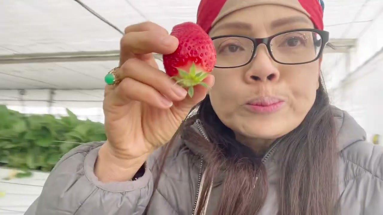 พาเข้าสวนวันหิมะตกหนัก🍓#EP7กินหลายสายพันธุ์