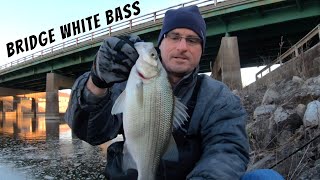 Searching for Hungry White Bass and Wipers Under Bridges (White Bass and Wiper Fishing)