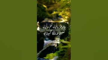 تلاوه خاشعة من سورة الإنسان الآية ١٩بصوت#رعد_الكردي #حالات_واتس ﴿ويطوف عليهم ولدان مخلدون﴾