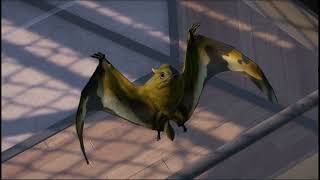 Jeholopterus.