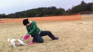 Disc Dog Seminar 2012-02-20 - Toss Instruction