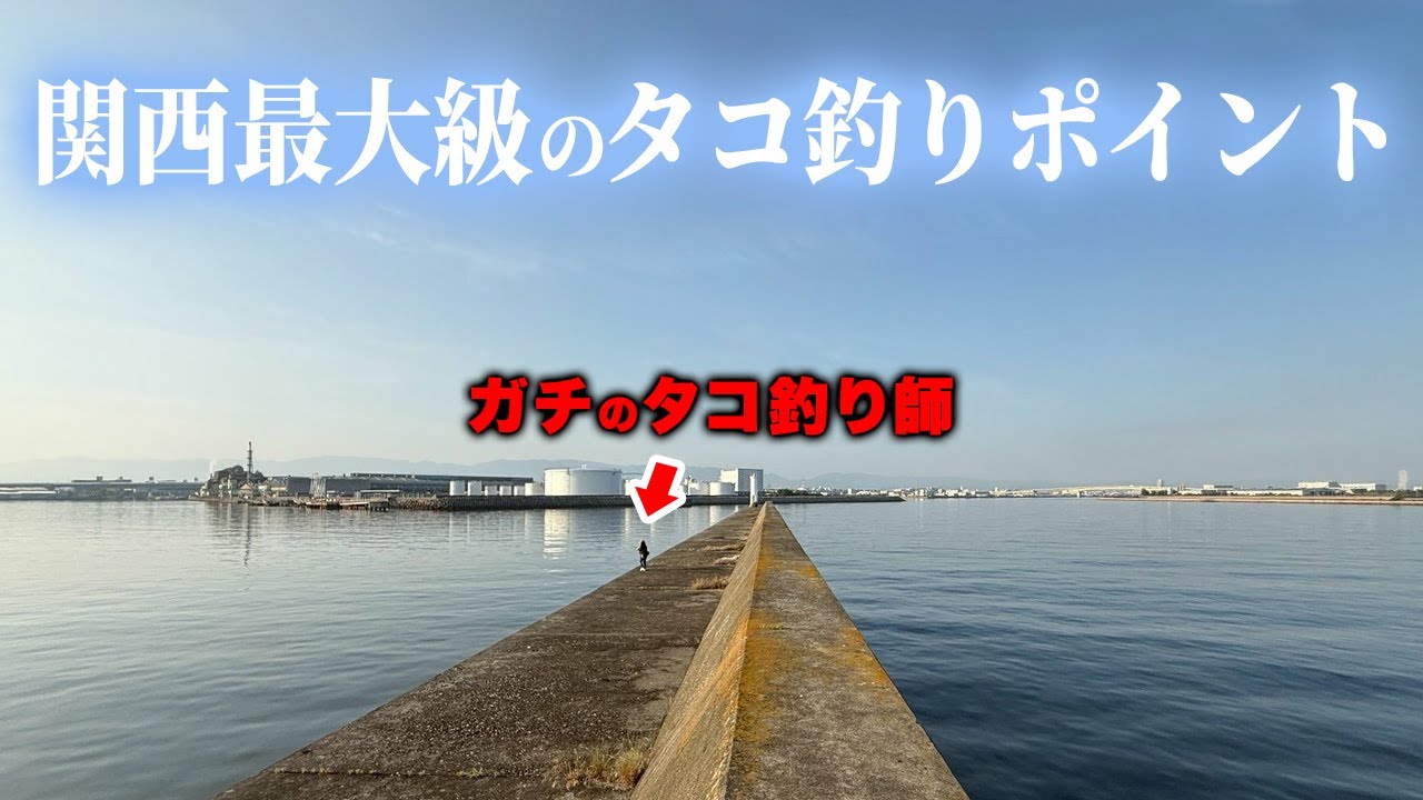 【関西最大級】タコ釣り最強ポイントでガチのタコ釣り師に遭遇。余裕の二桁釣果を見せつけられました。。​