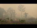 URGENTE! El incendio amenaza a las Comunidades