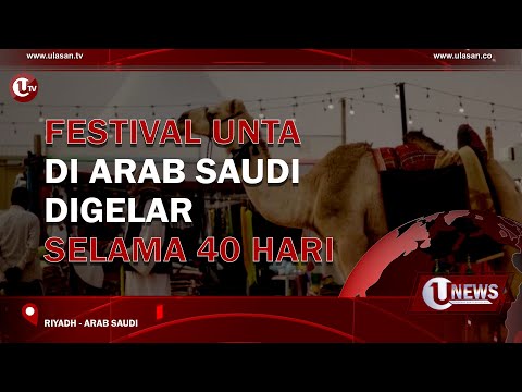 FESTIVAL UNTA DI ARAB SAUDI DIGELAR SELAMA 40 HARI | U-NEWS