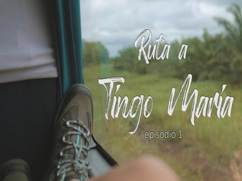 Video: Tingo Maria, Peru hauv cheeb tsam Huánuco