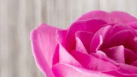 ص (20) سورة البقرة- بصوت القارئ عبد الله أحمد الخلف حفظه الله تعالى ...