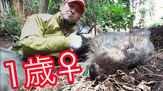 Nan Nan Back Undefined Skip Navigation Search Search Sign In Undefined Play All Hunting 狩猟 Videos 63 151 Views Last Updated On Sep 17 21 Show More Mountain Life Mountain Life Subscribe 1 8 07 Now Playing Cape And Quarter A Big Nan Nan Back Undefined Skip Navigation Search Search Sign In Undefined Play All Hunting 狩猟 Videos 63 151 Views Last Updated On Sep 17 21 Show More Mountain Life Mountain Life Subscribe 1 8 07 Now Playing Cape And Quarter A Big