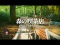 環境音+JAZZ やさしい森の喫茶店 自然環境音で癒しの時間 リラックスタイム 読書、勉強、仕事が捗りやすくなる Relaxing Jazz 環境音 - 作業用BGM