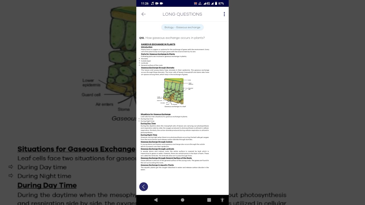 how gaseous exchange occurs in plants