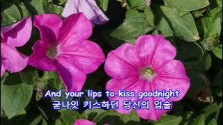 Toselli's Serenade(Dreams and Memories: 꿈과 추억) -- Perry Como: with Lyrics(가사번역) ||경복궁(Gyeongbokgung)