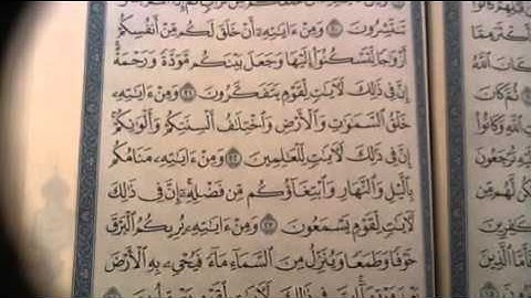 سورة الروم ص/٤٠٦(٢) تصحيح تلاوات