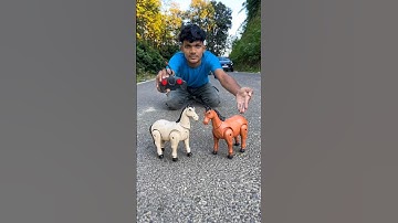 Remote Control Two Horse 🐎 Testing