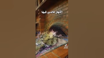 القارئ ريان المحيسني