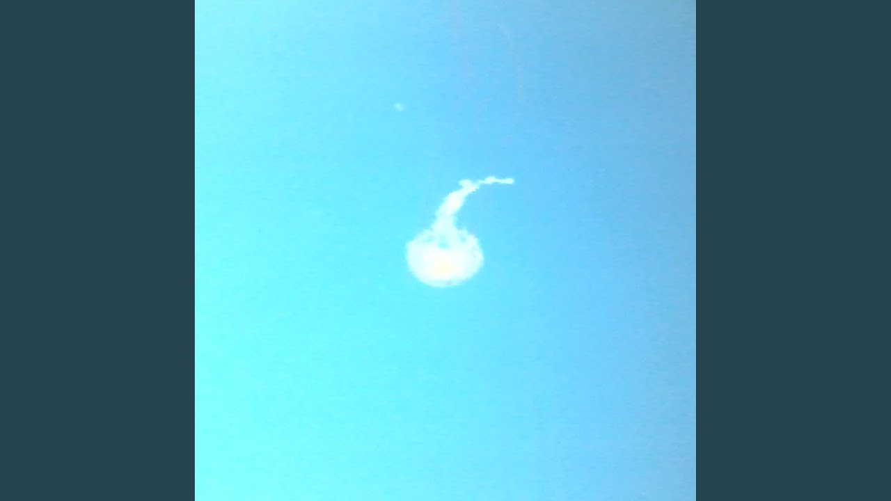 Guarda Ceo su YouTube Guarda Ceo su YouTube