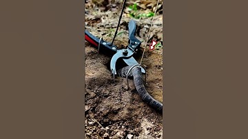 Snake trap channel #shortvideo #snaketrap #shorts