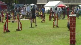 20100522_Jump_Canis.avi