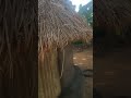 African Kitchen Fire in a Thatched House 🔥 #africa #dailylife #africandailylife #african #farming