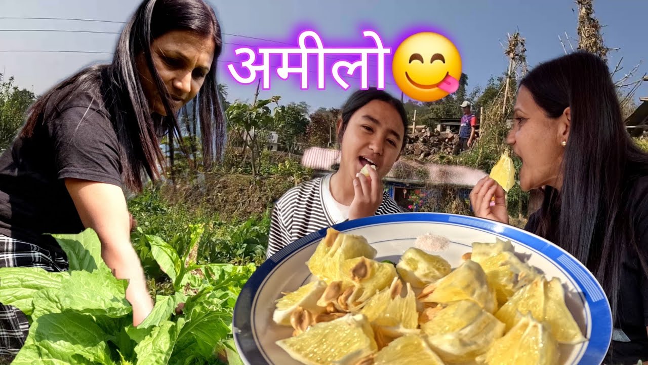 भोगटे खादैछौ😋अमिलो पिरो र नुनिलो मीठो हुन्छ है🤗सागको डुकु लिन तल भाउजुको बारीमा जाने हो#couple#love 