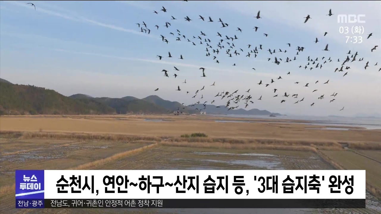 와룡습지, 보호지역 지정...3대 습지 생태축 완성[목포MBC 뉴스투데이] - YouTube