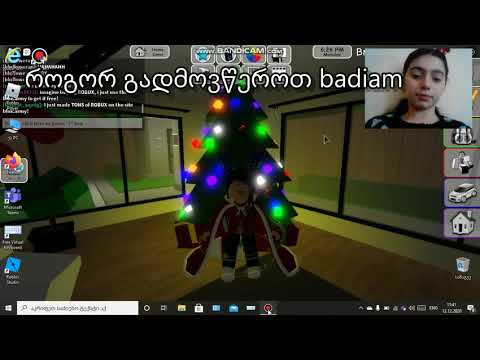 როგორ გადმოვწეროთ badicam