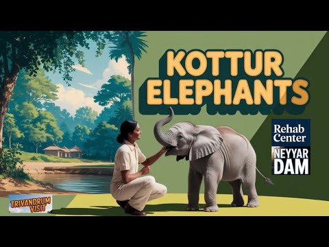 Kottur elephant rehabilitation