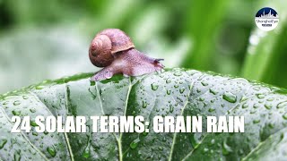 Grain Rain谷雨: A refreshing dish for the end of spring #chineseculture #二十四节气