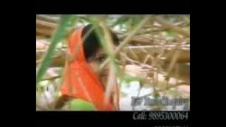 പതിനാലാം രാവുപോൽ│Pathinalam Ravupol│Manaf Ali & Nisar Vatakara│Nilledi Nilledi Kuyile│Gallery Vision