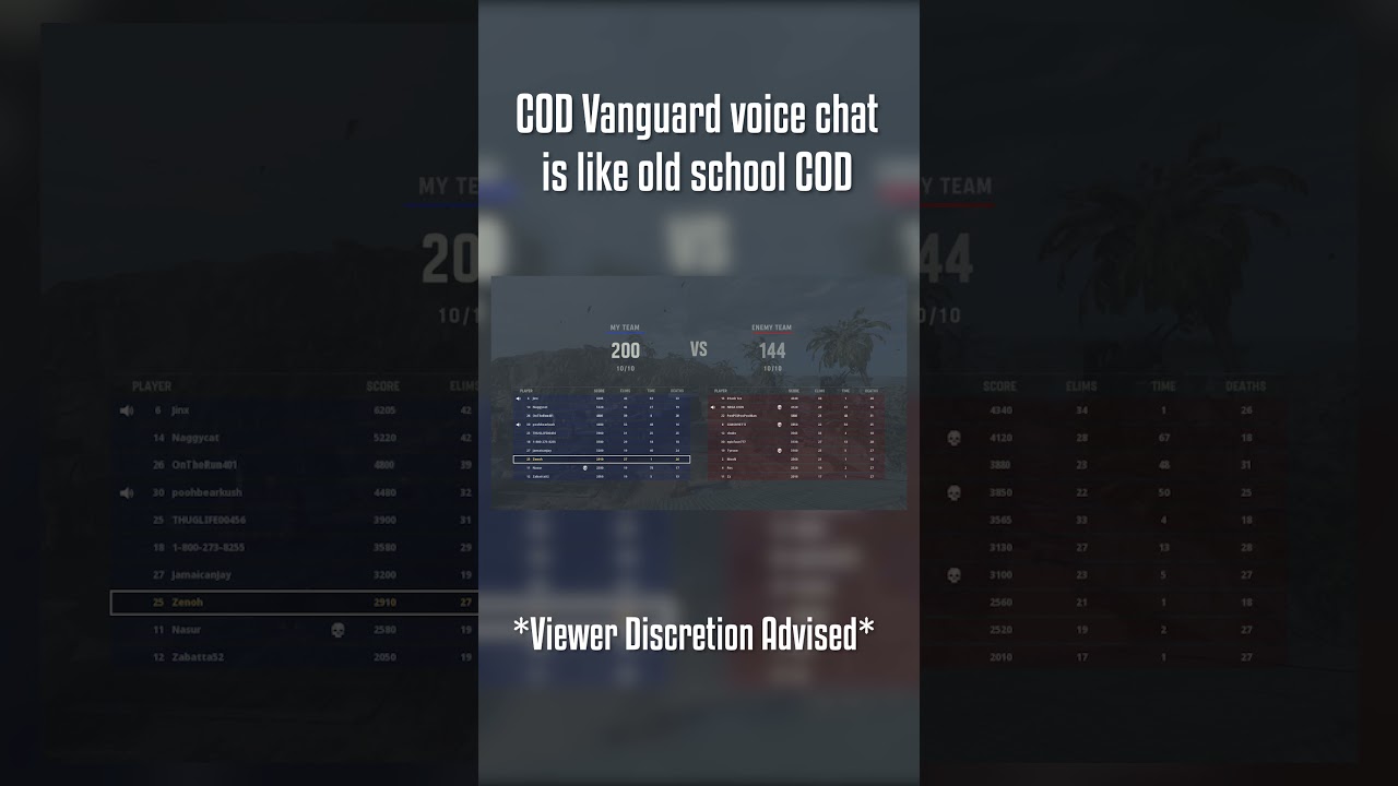 COD Vanguard voice chat is like old school COD... 