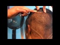 Fusion- Illusion Hairline | Invisible Hairline | O