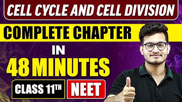 CELL CYCLE and CELL DIVISION in 48 Minutes | Full Chapter Revision | Class 11 NEET