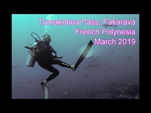 diving the South Pass (Tetamanu), Fakarava, French Polynesia - 2019/3