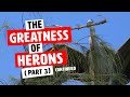 Episode 8: The Greatness of Herons Part 3 (Continued)
