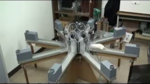 Radial maze learning in rat