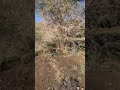 الجنوب ظهران الجنوب