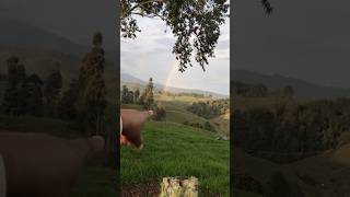 Truth or myth, what do you say? 😳 #documentary