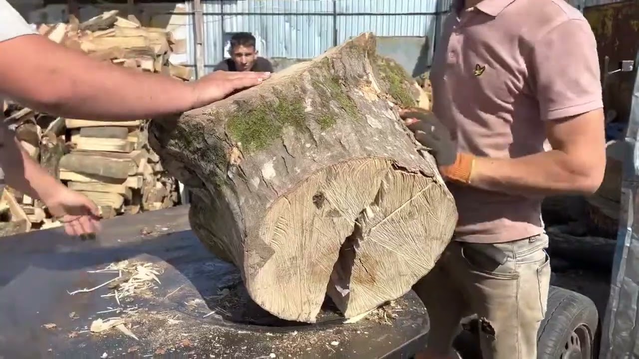 Fast Firewood Production with a Powerful Machine