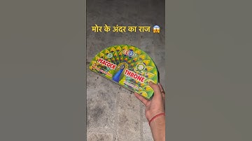 The secret inside the peacock 🥵🥵 Diwali 2025 🧨 #shorts #testing #fireworks #diwali2025
